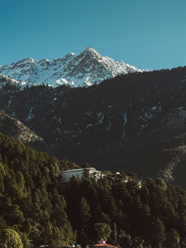 Chandigarh to Dharamshala Taxi